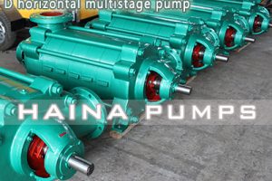 D Horizontal Multistage Pump
