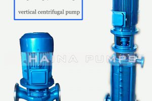 Single stage multistage vertical centrifugal pump