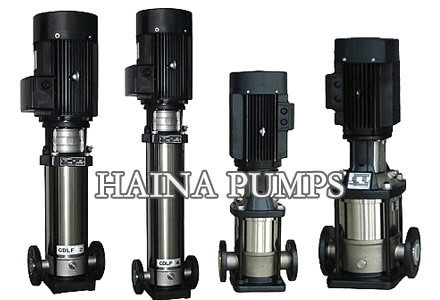 SS Multistage Centrifugal Pump